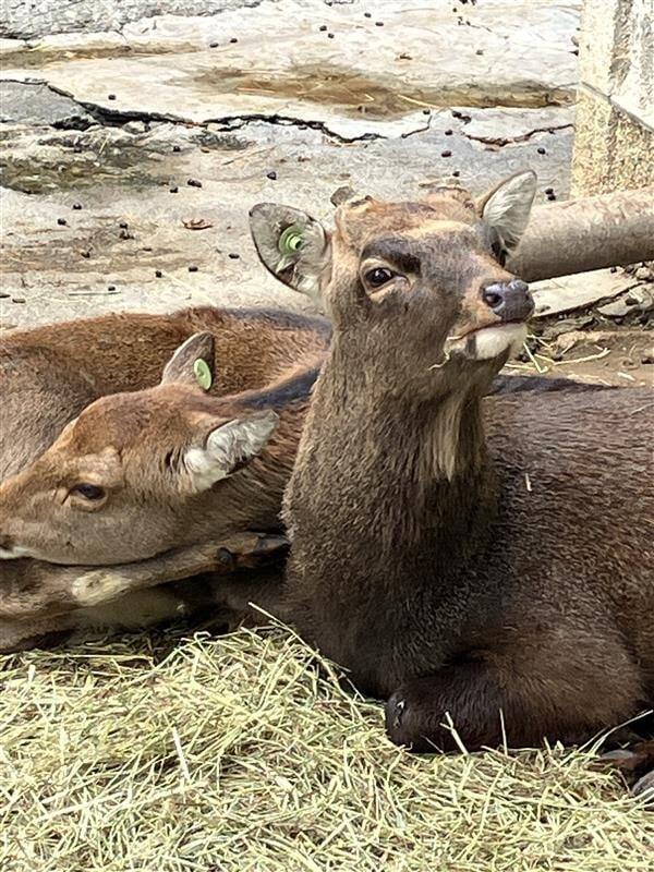 昌賢学園秋の見学会3jpg-min