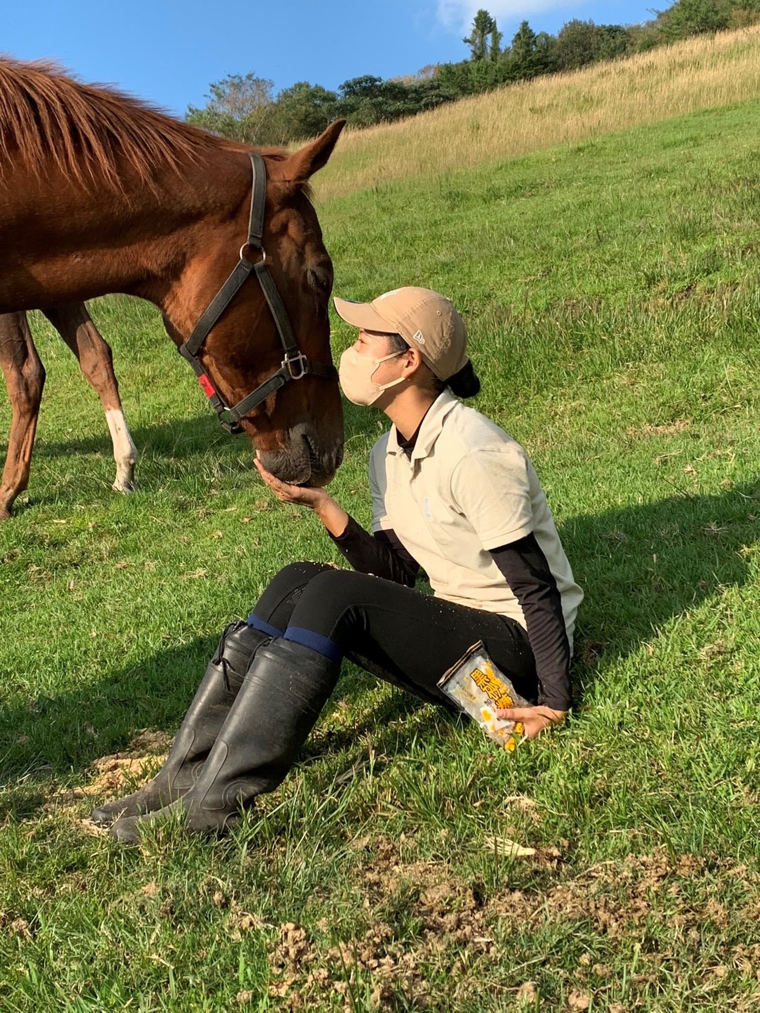 緑の草原 ご褒美黒砂糖1