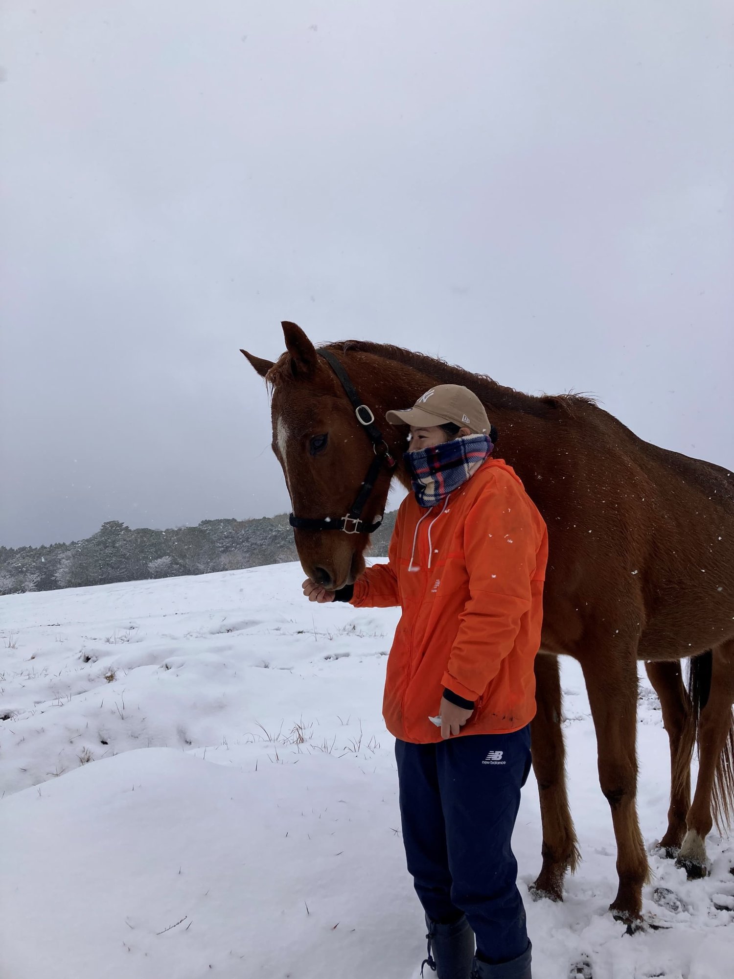雪景色 馬と歩く
