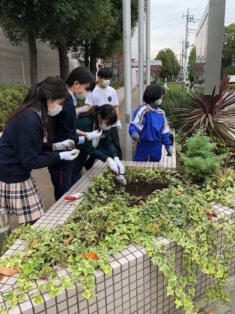 20201028花壇5-e1603931250342-min