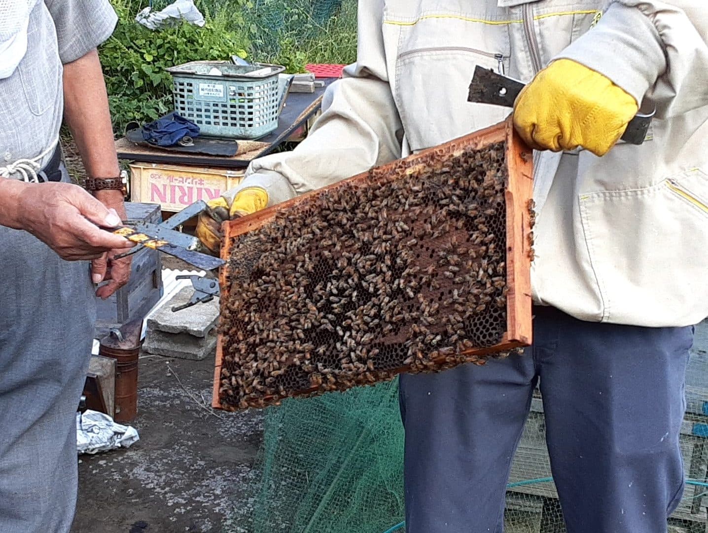 youhou25_trim-e1667212321668