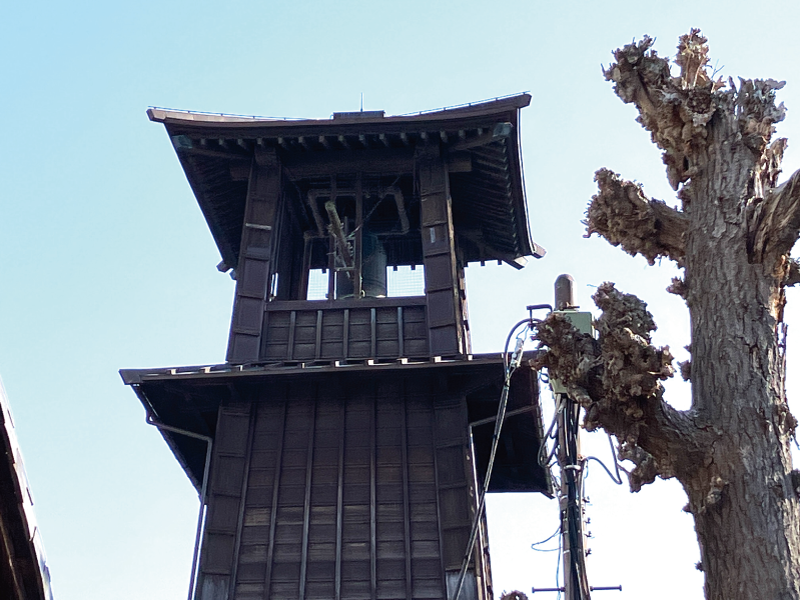 歴史部校外活動_20260321_2