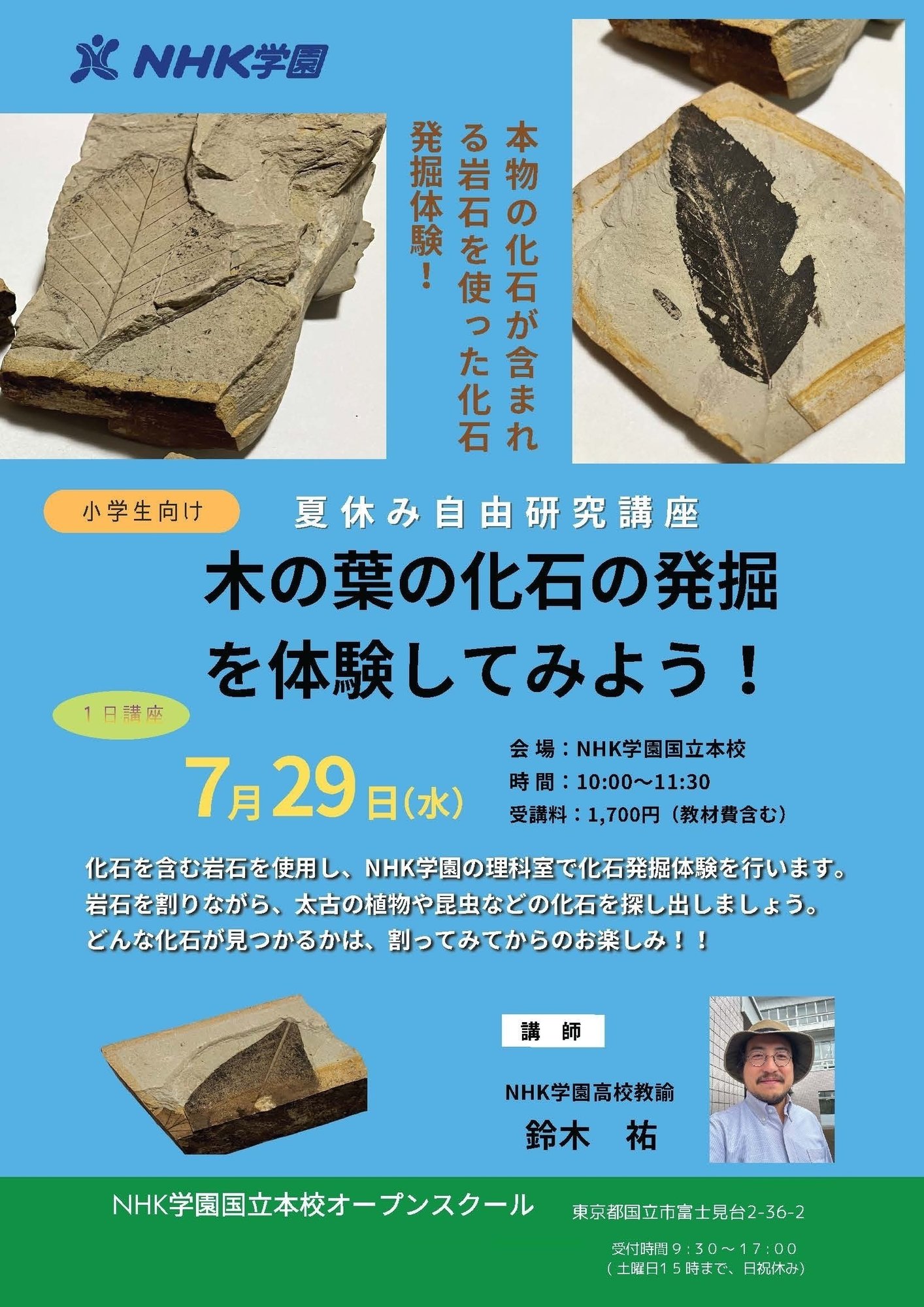 20260729_木の葉の化石発掘案内チラシ-2