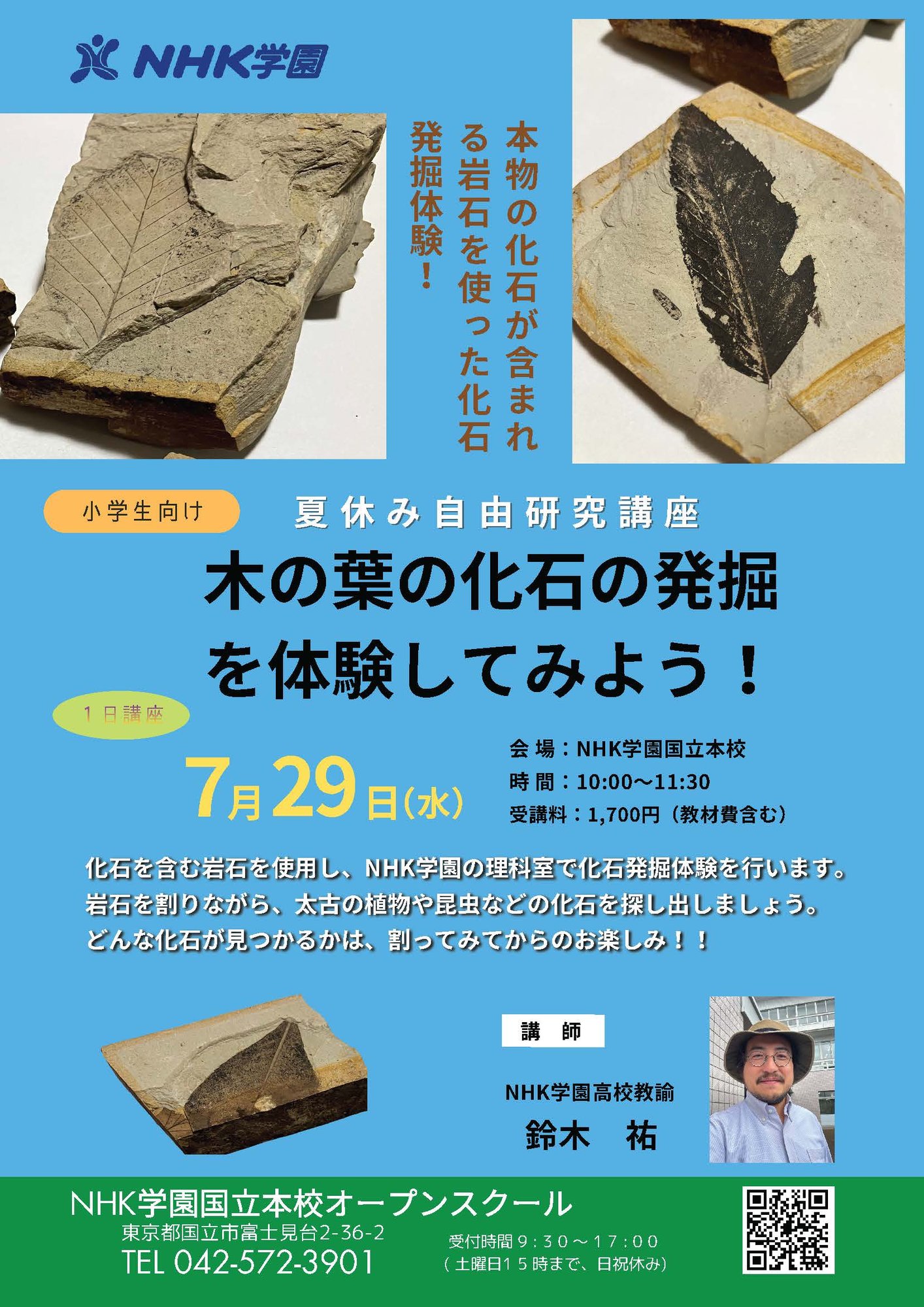 20260729_木の葉の化石発掘案内チラシ