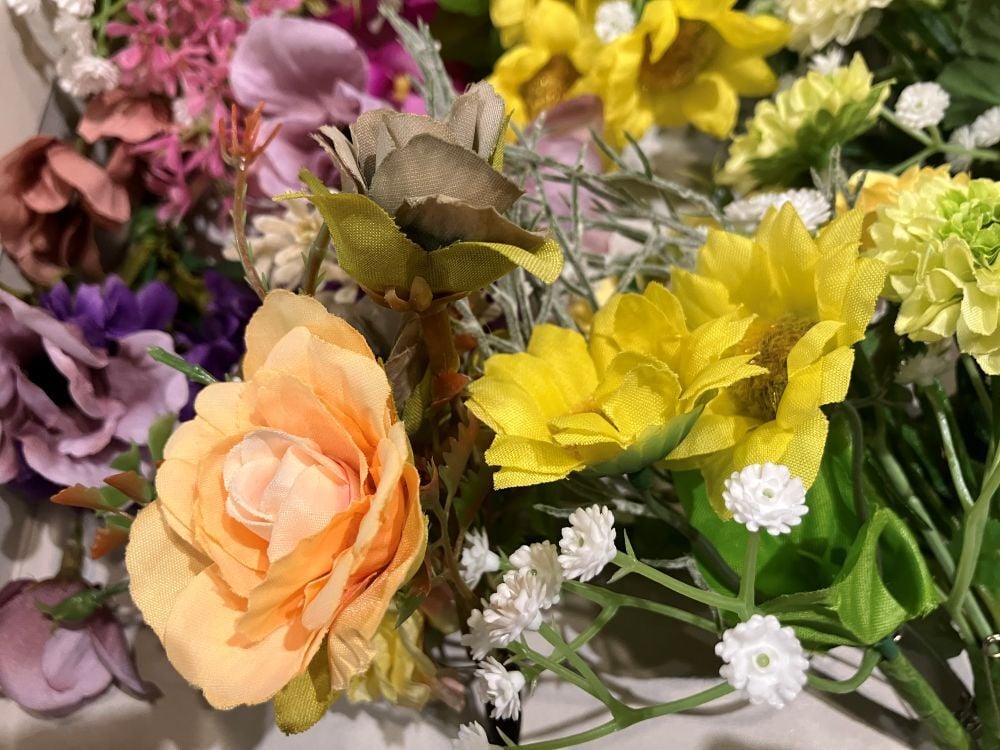 20260315_meikyo_IMG_1280