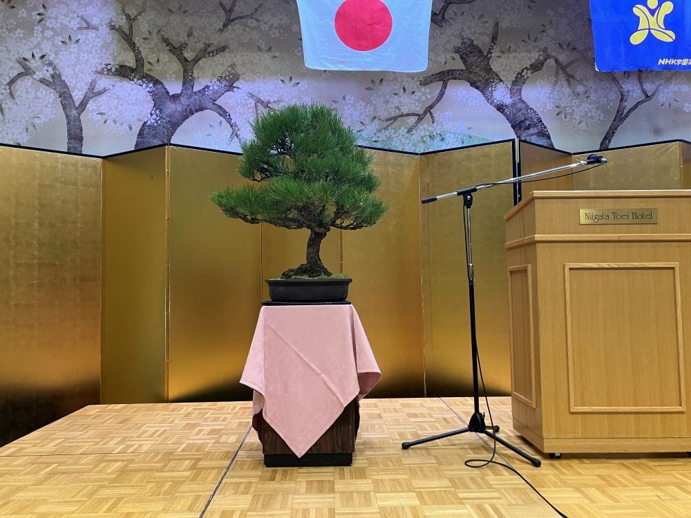 20260315_meikyo_IMG_1286