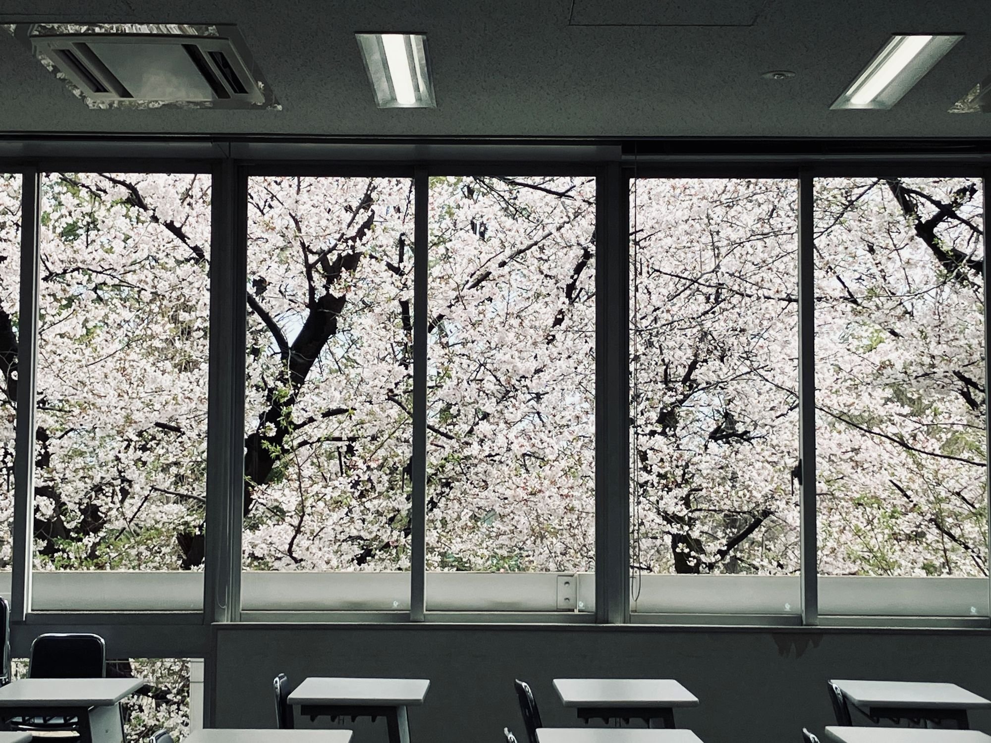 20260404_tokyo_event_IMG_1402