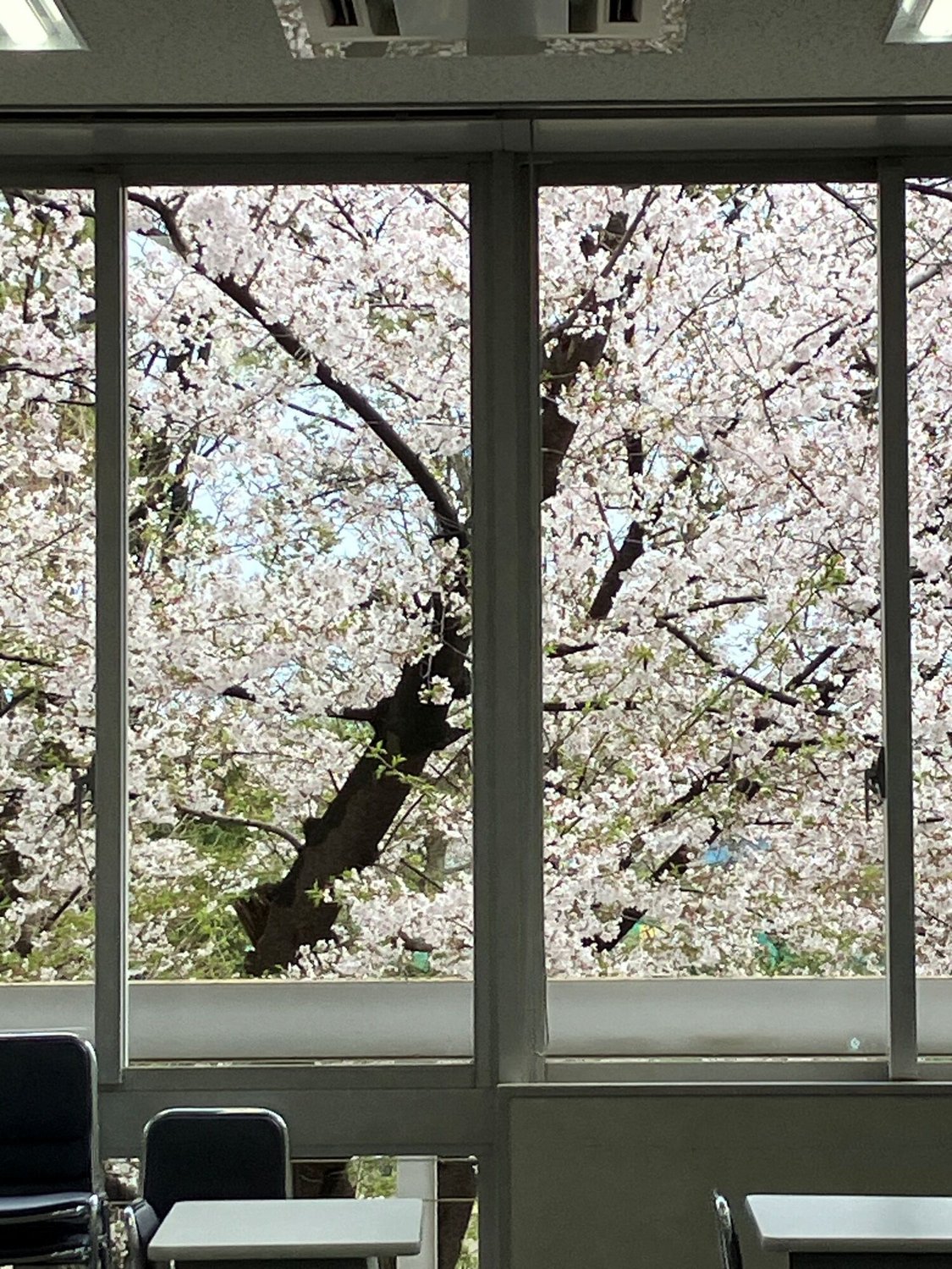 20260404_tokyo_event_IMG_1403