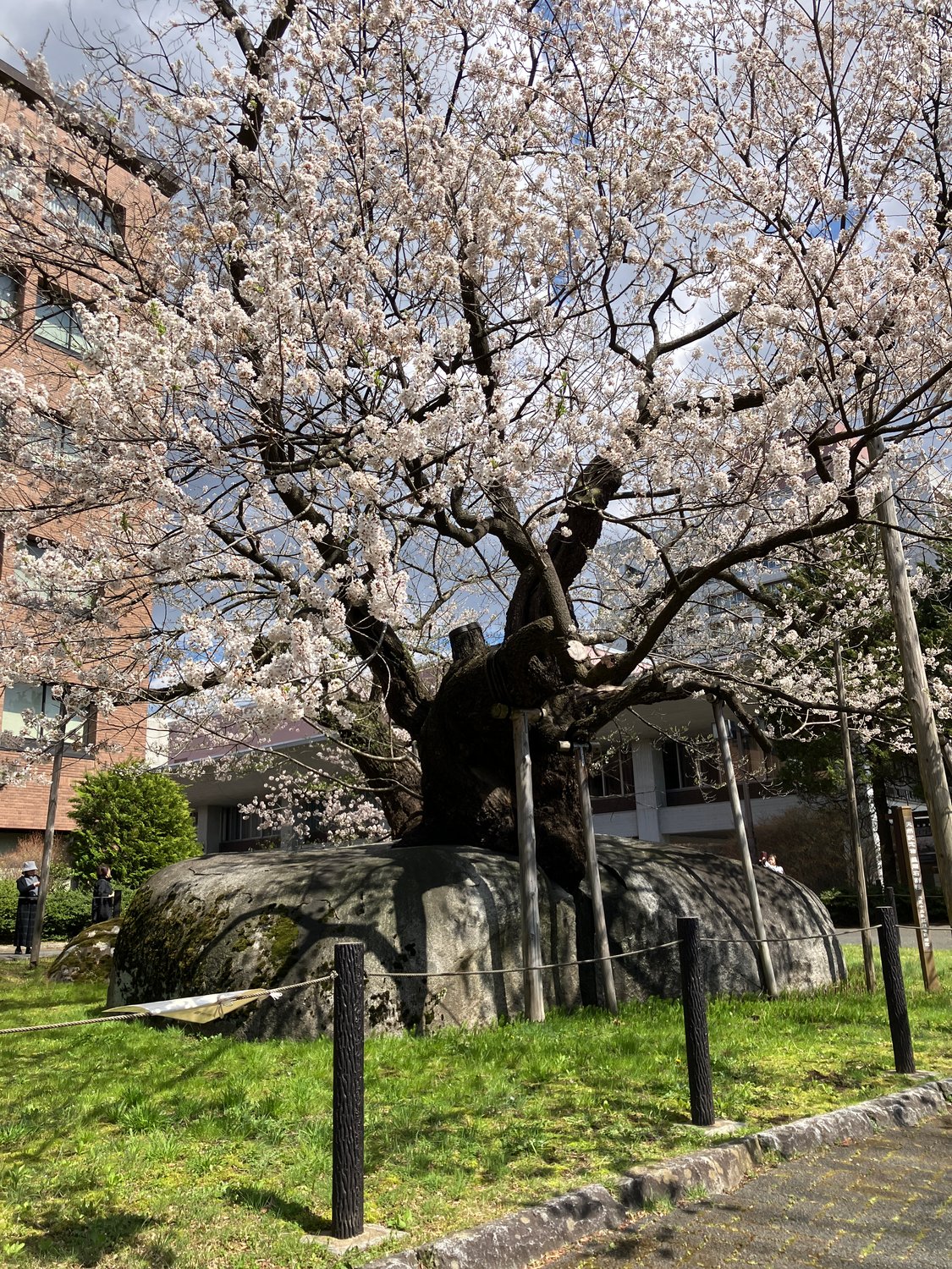 20260412_toryo_033403319_iOS