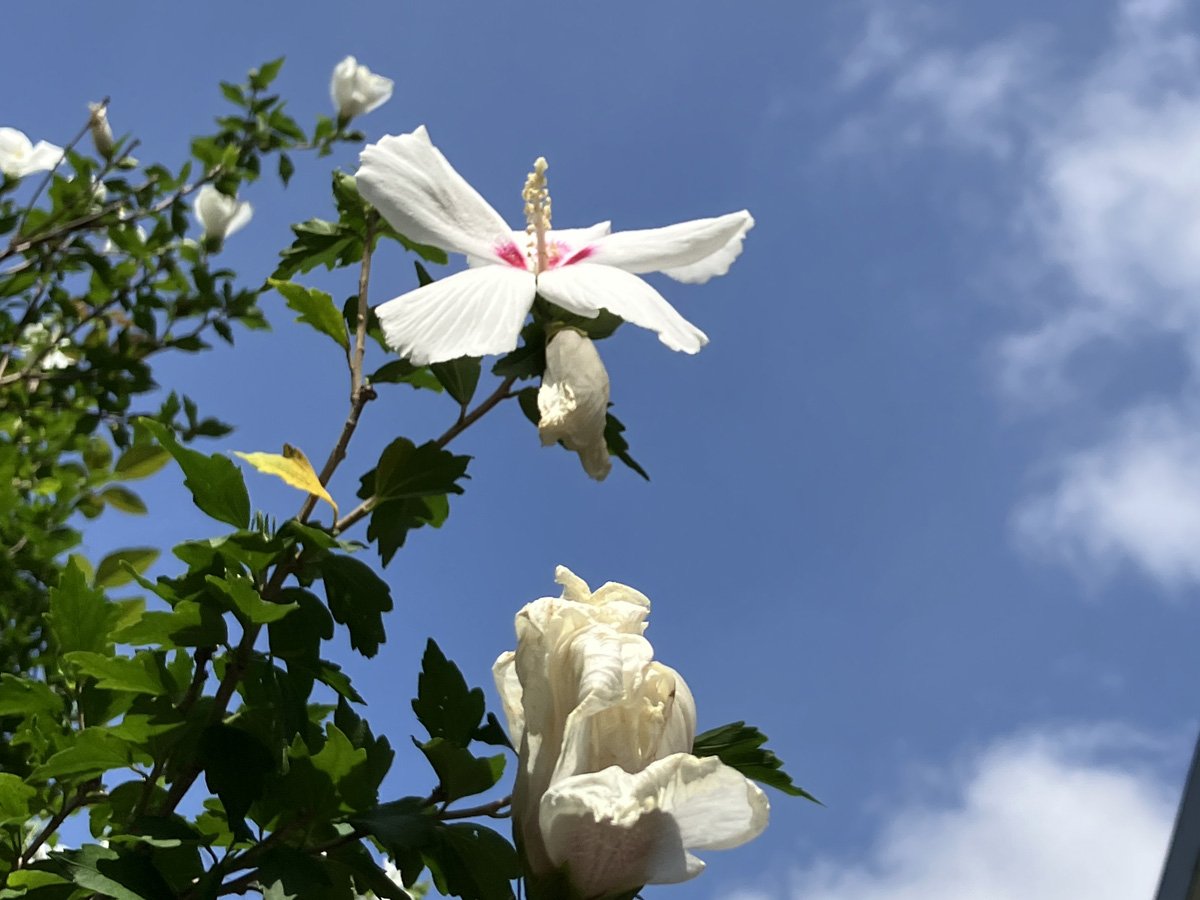 img_1857_学校スクーリング
