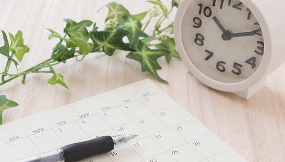 年間スケジュール