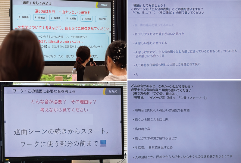 20265回11