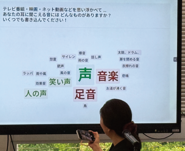 20265回3