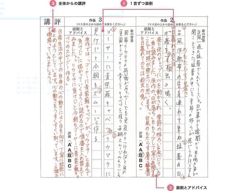 添削とアドバイス