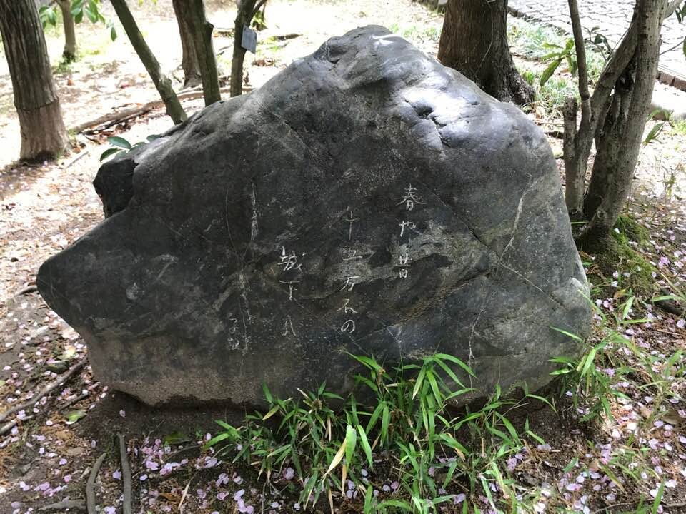 56656045_2041802645918637_990229204291289088_n