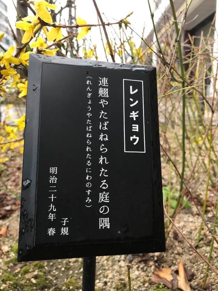 91419975_2714073142024914_1761751844872257536_n