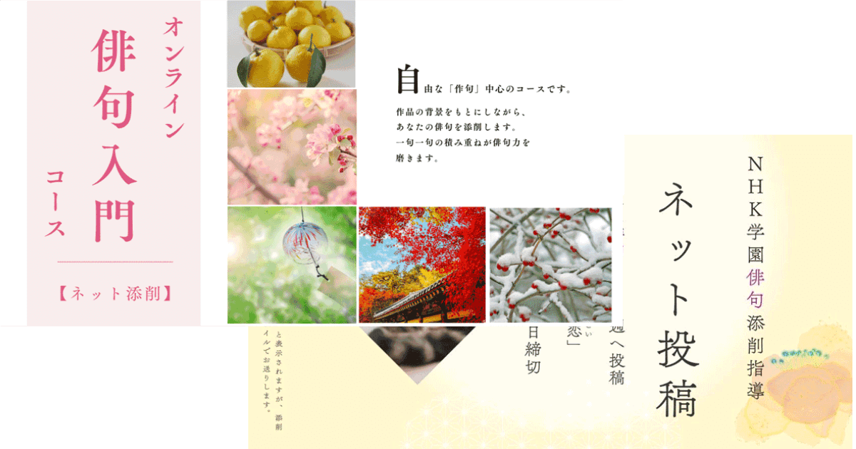 マスクグループ 264