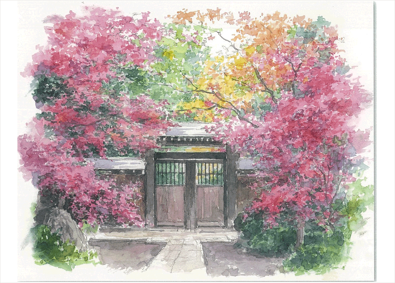 水彩画|NHK学園 生涯学習通信講座 水彩画|NHK学園 生涯学習通信講座