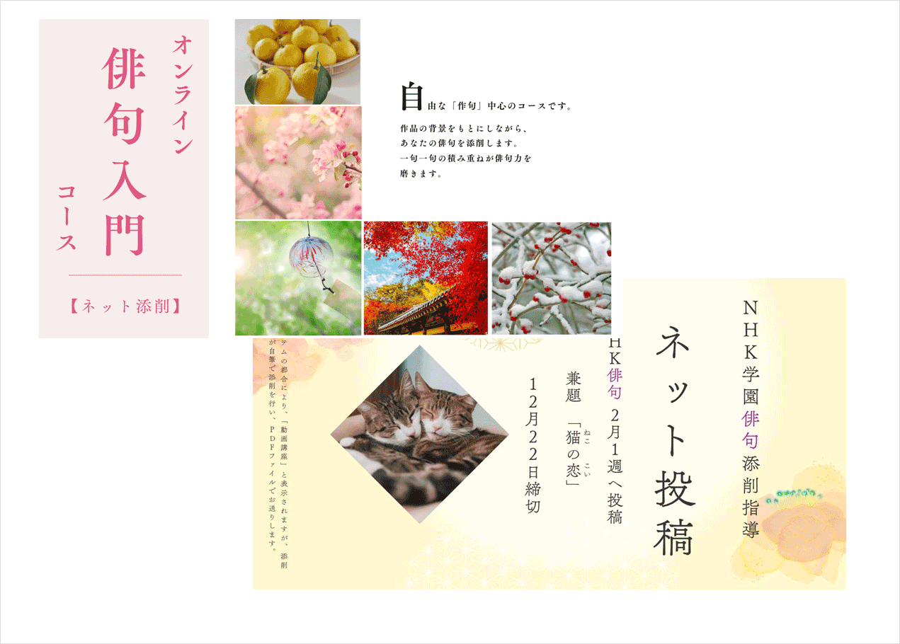 5A_オンライン添削指導バナー