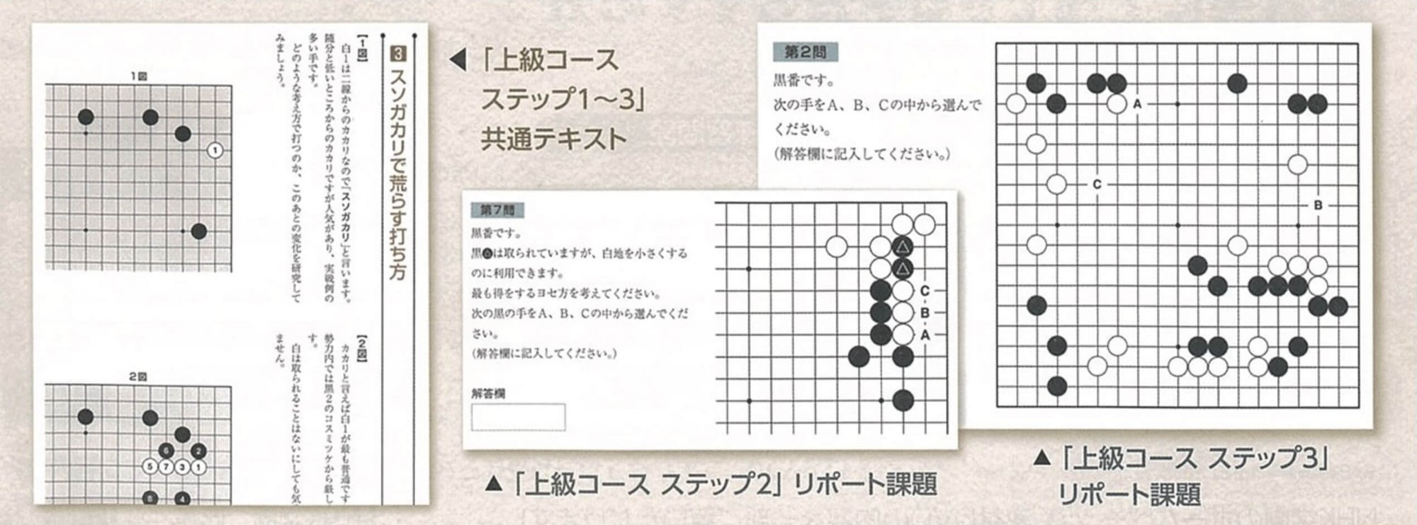 マスクグループ 255