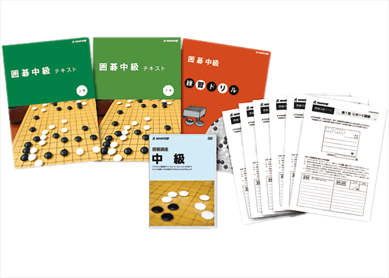 囲碁ソフト NEW囲碁塾 練習問題集 中級＋上級セット 囲碁塾4シリーズ 上達講座 / 練習問題集 / 対局ソフト(算砂) / 定石