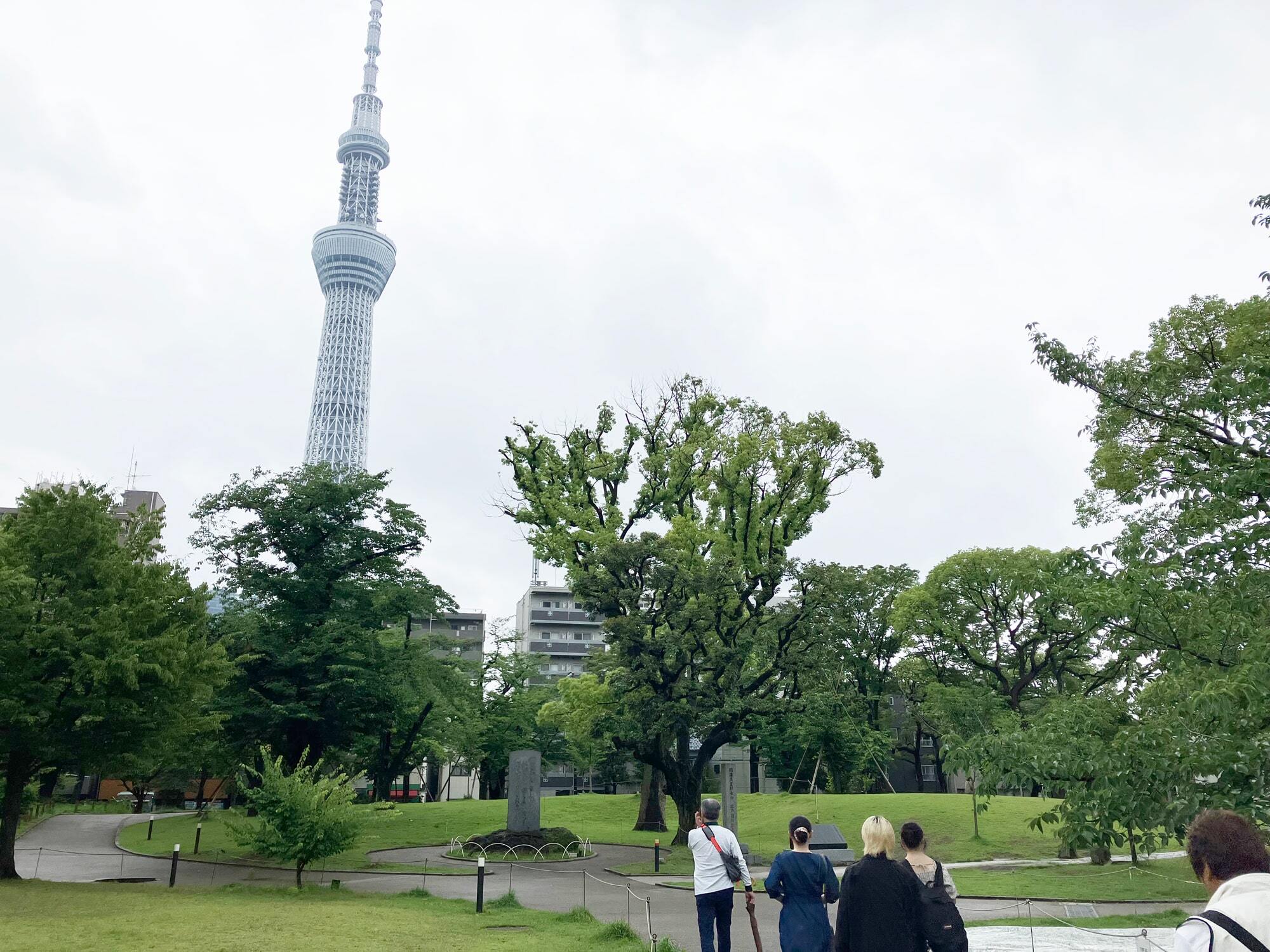 6月11日（日）安田学園協力校　遠足
