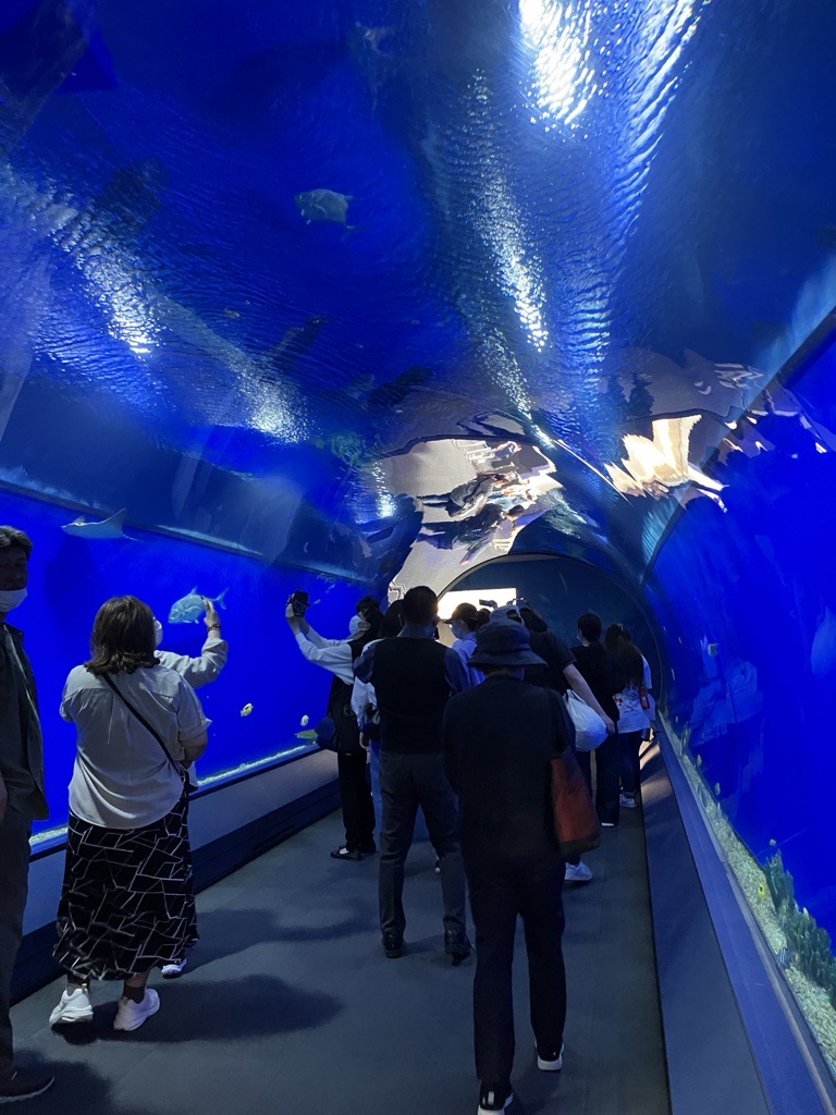 近畿ライフデザインコース　遠足に行ってきました！