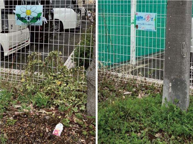 花壇に看板を設置しました！