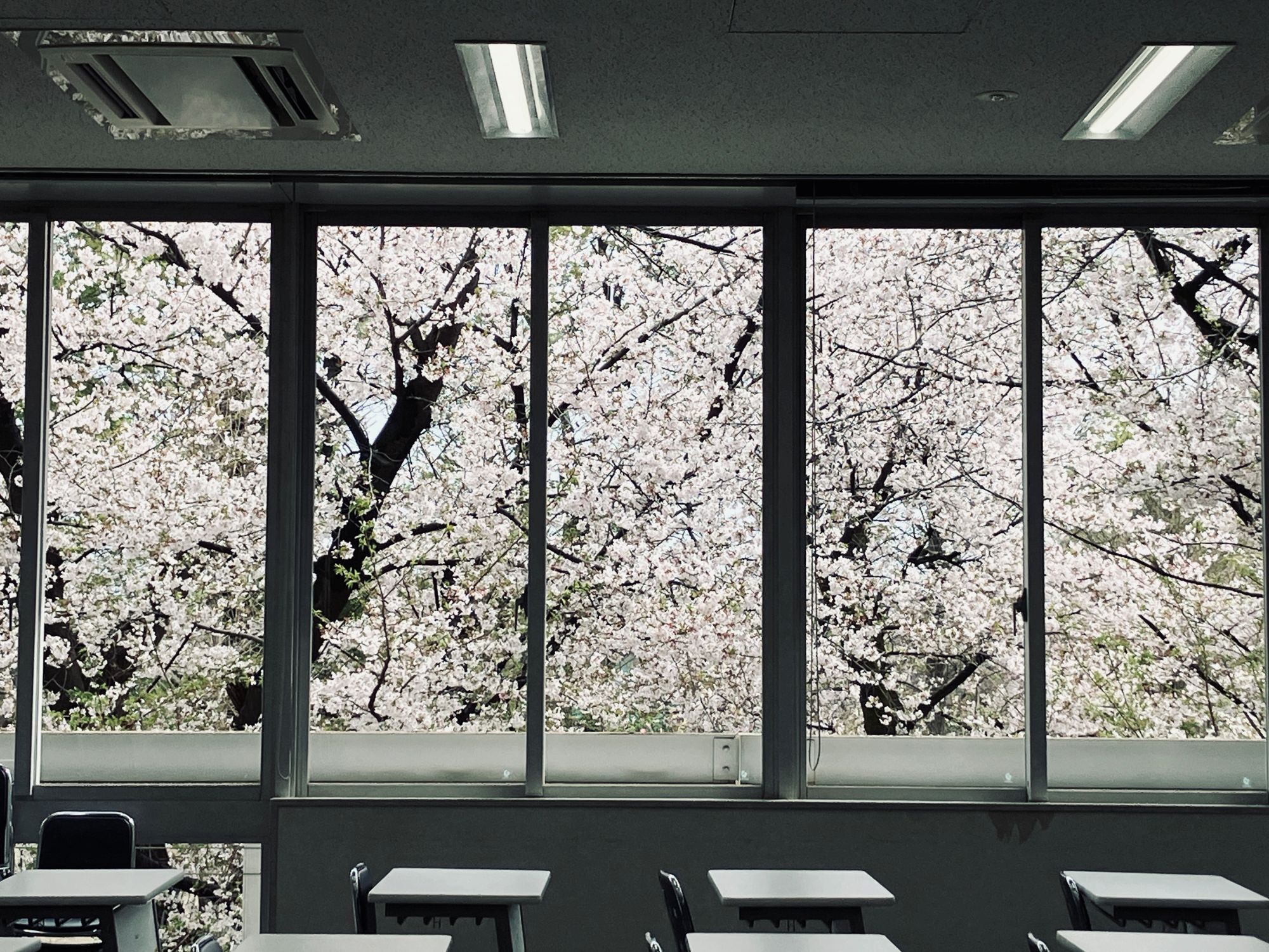 【東京本校】学校紹介イベント『NHK学園に行ってみよう！』開催