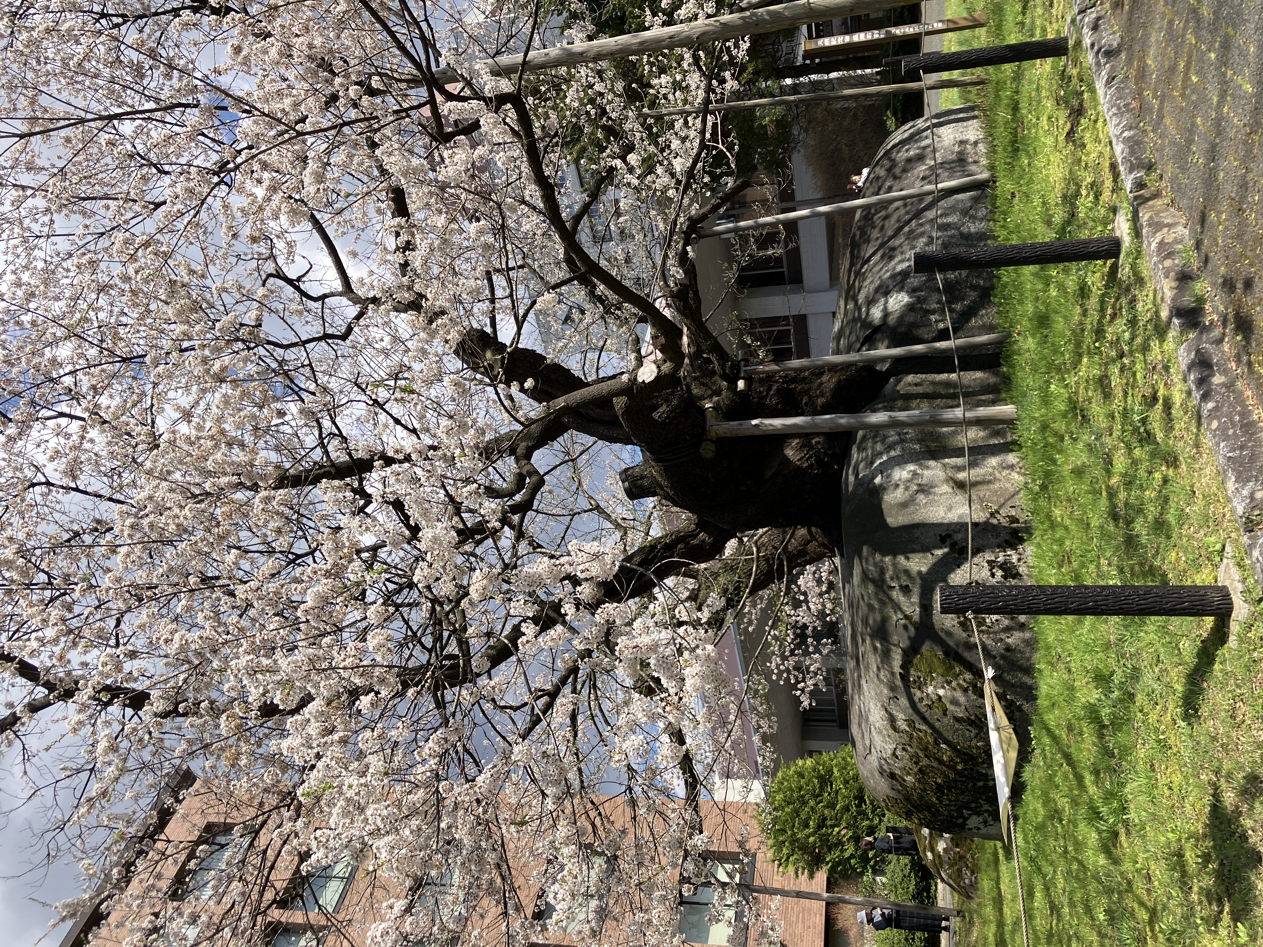 【杜陵協力校】2026年度 入学式