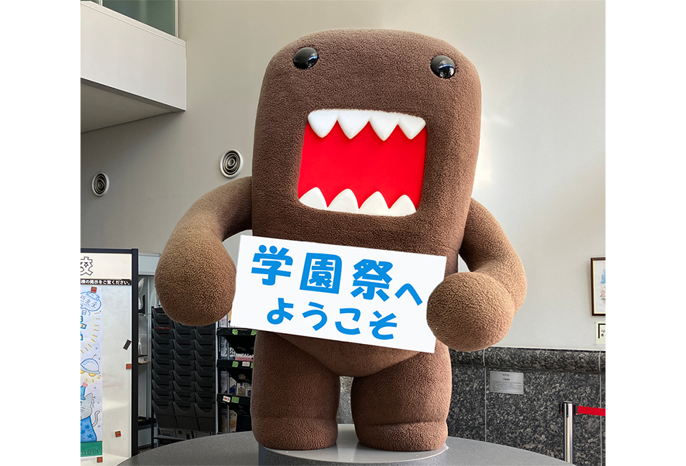 domo_festival-1