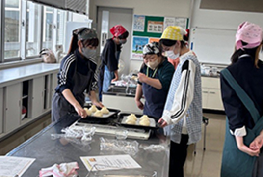 sch_standard-new_goschoolplus_7