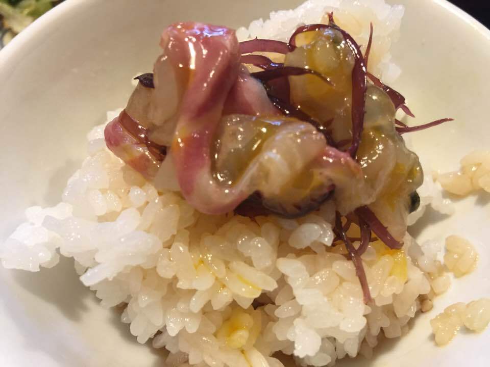 ようおいでたなもし 松山俳句通信【第10号】