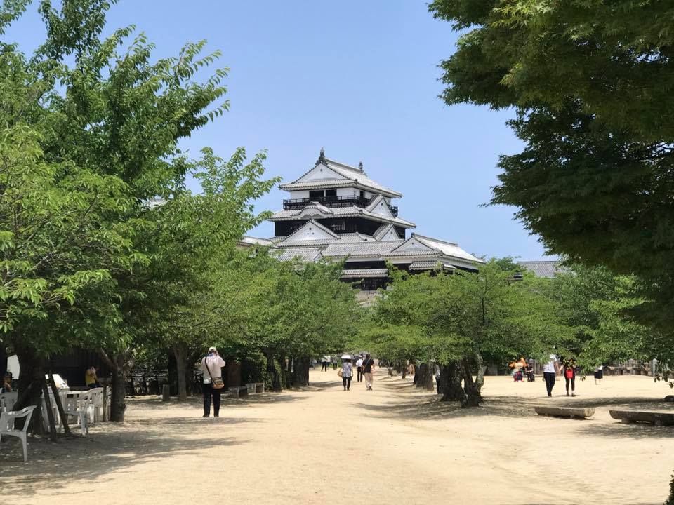 ようおいでたなもし 松山俳句通信【第5号】