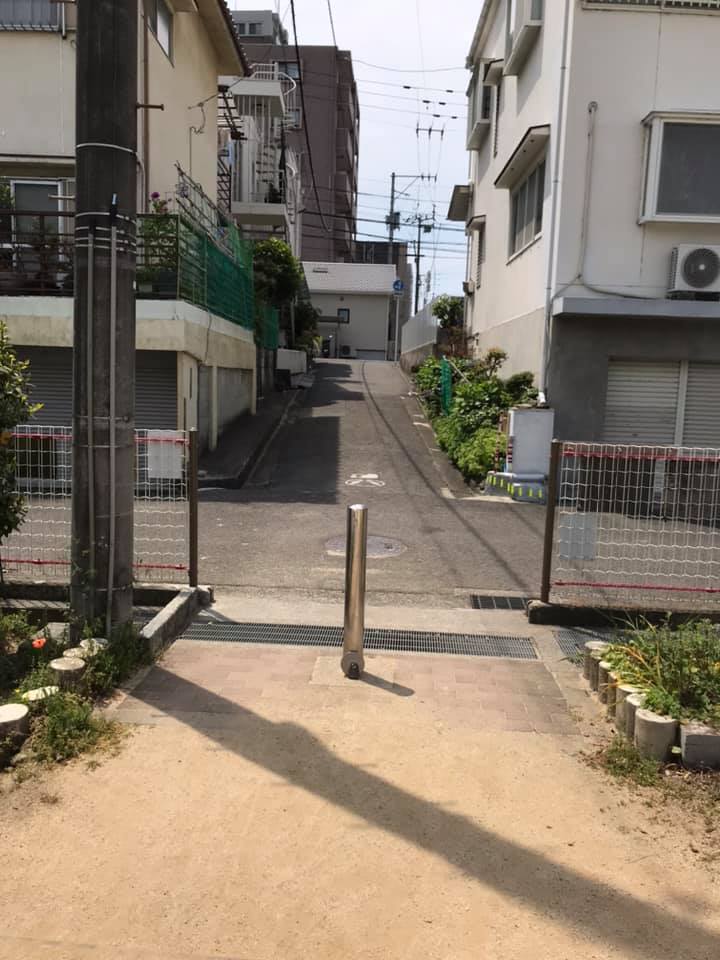 ようおいでたなもし 松山俳句通信【第19号】