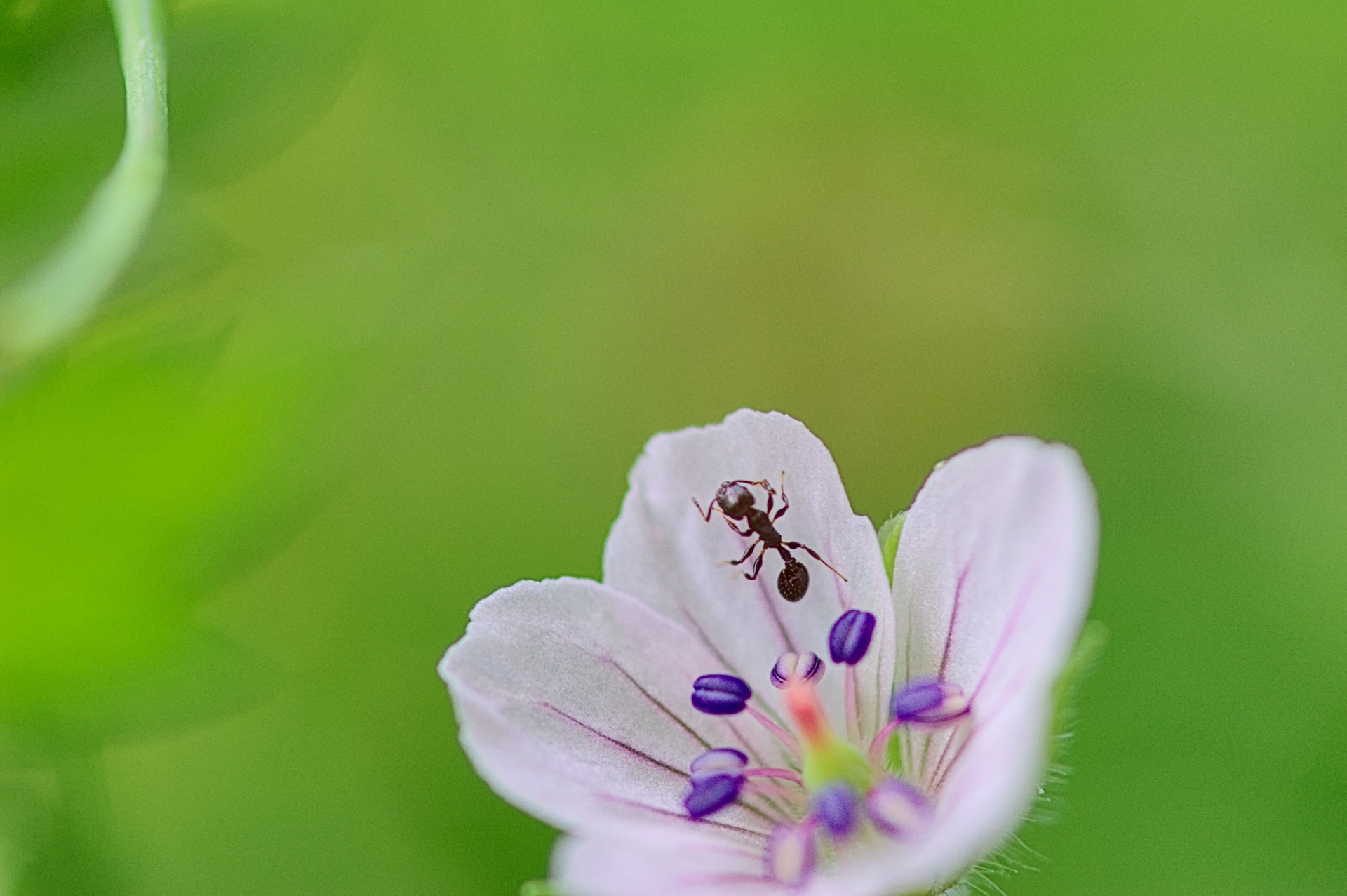 【俳句コラム】麒麟流作句法（2）