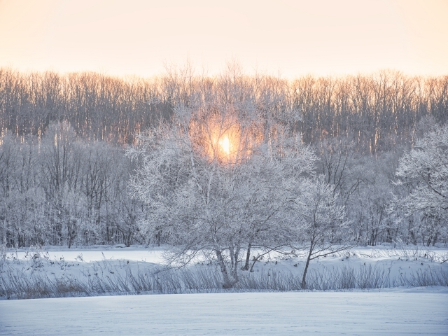 【俳句コラム】麒麟流作句法（9）