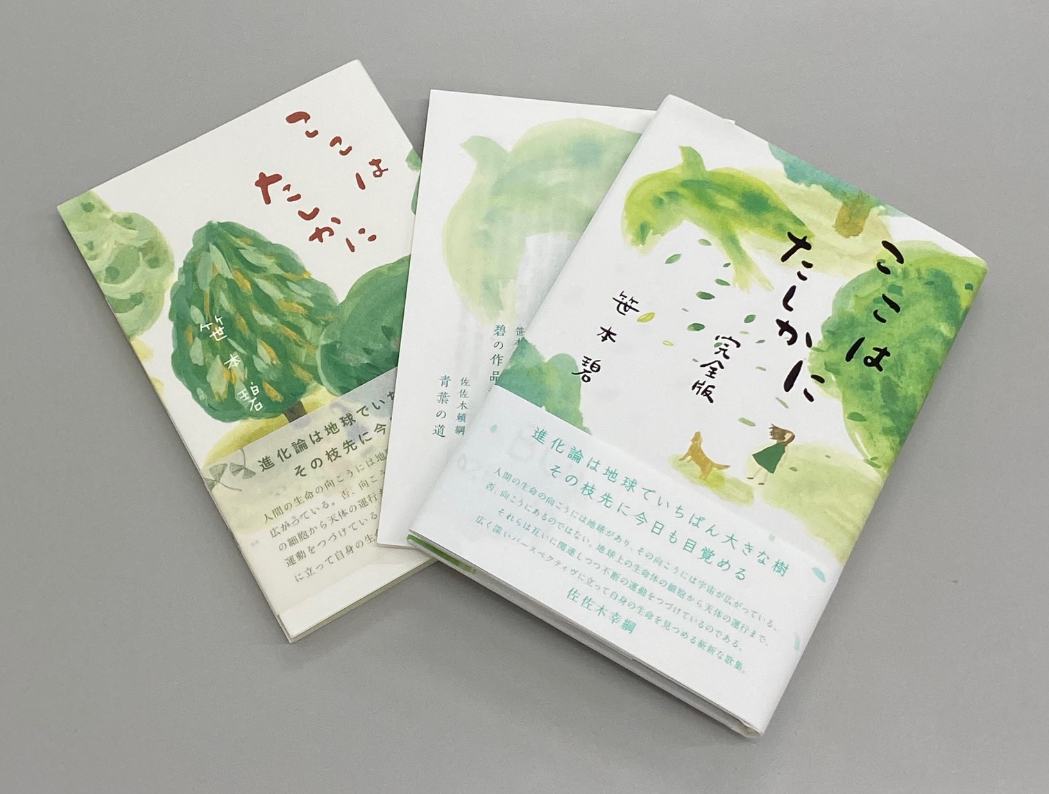 笹本碧さんのこと ー 藤島秀憲