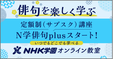 N学俳句Plus