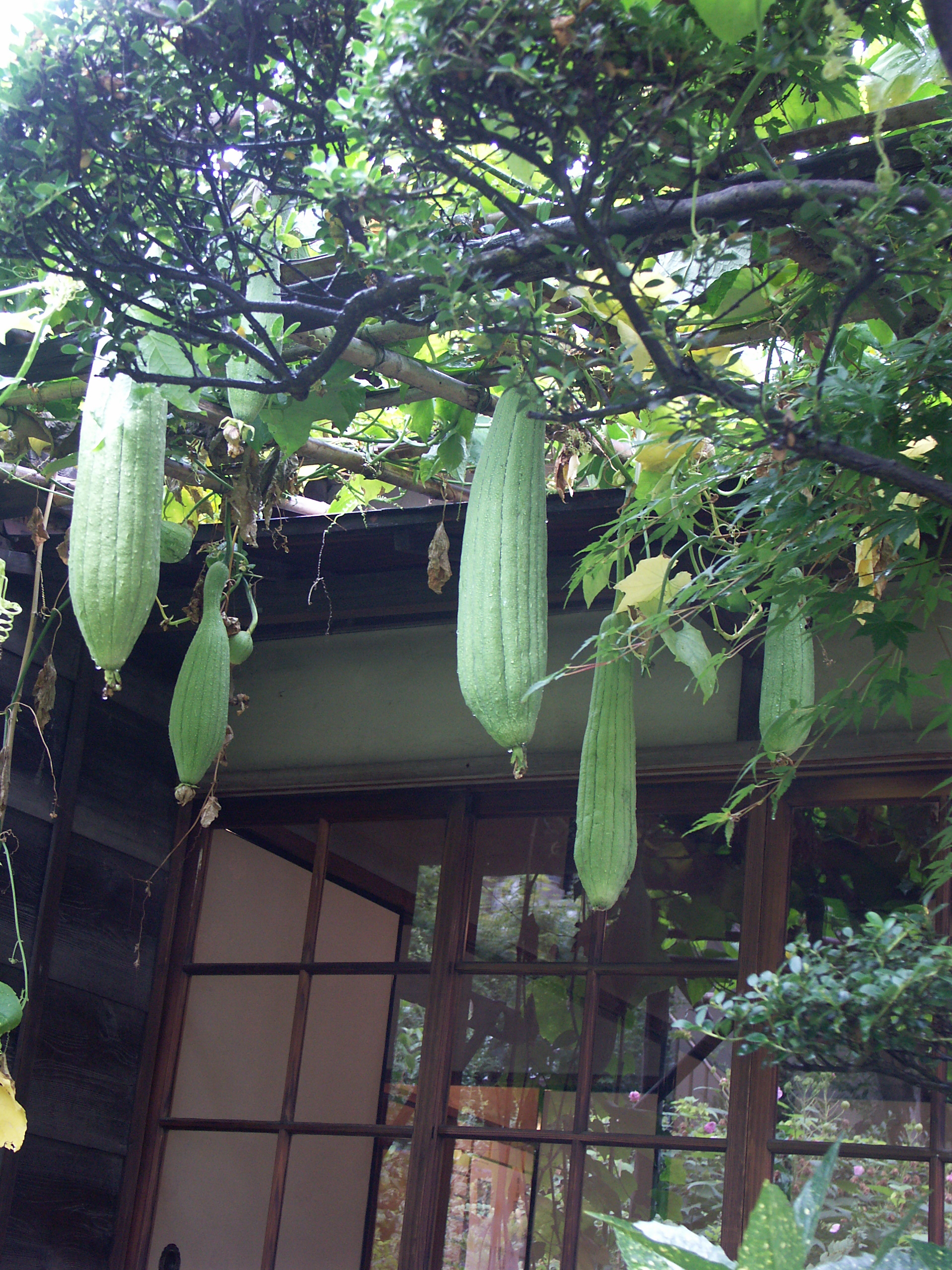 2019・秋