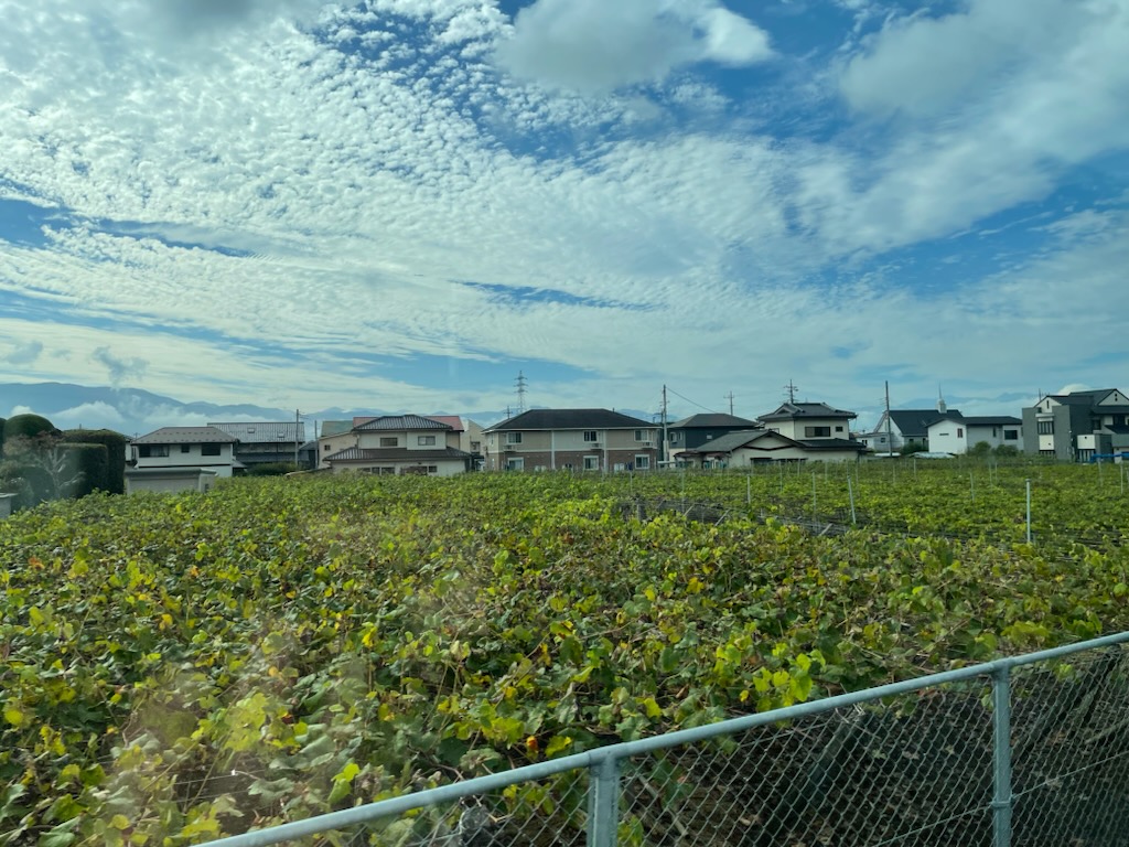 車窓からの山梨県、秋の空が広がっています