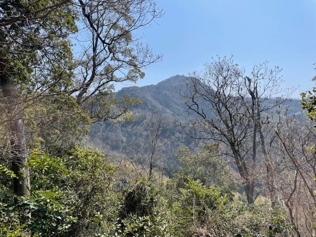 ふもとからの谷上山