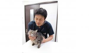 特別一日講座 生涯学習オープンスクール Nhk学園