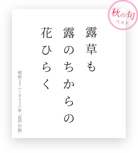 露草も露のちからの花ひらく