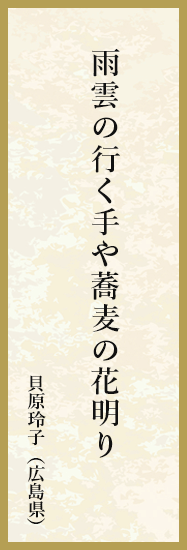 一斉に灯し聖樹を驚かす すずきなずな（北海道）