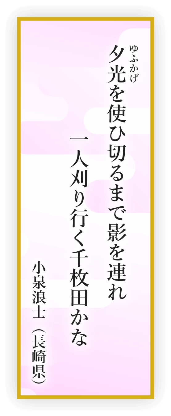 夕光を使ひ切るまで影を連れ 一人刈り行く千枚田かな 小泉浪士（長崎県）