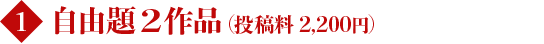 自由題2作品（投稿料 2,200円）